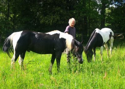 séjour thérapeutique avec animaux